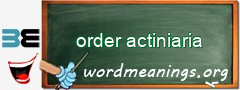 WordMeaning blackboard for order actiniaria